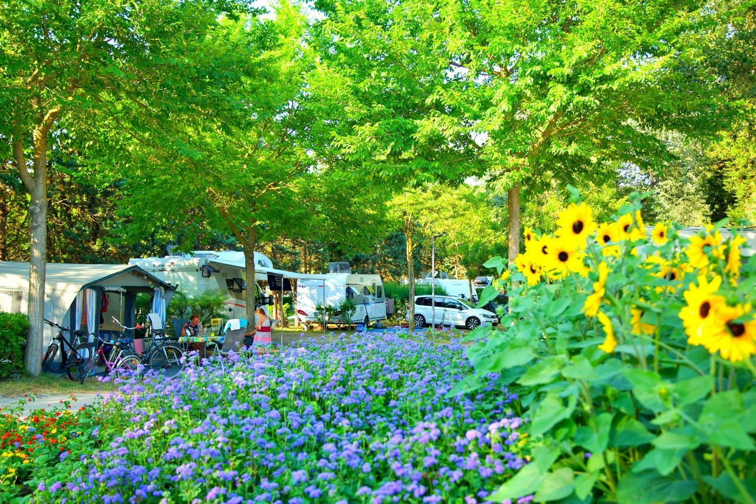 Campingplatz Pra' Delle Torri Village